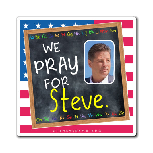 Steve Chavez Lodge - We The People - The Blackboard Magnet - 3'' - [311]